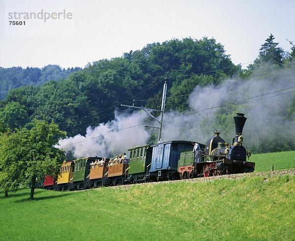 10639539  Nostalgie  Eisenbahn  Dampf-  Dampf  Eisenbahn  Dampflokomotive  gehen  historischen  Menschen  Schweiz  Europa  Spanisch B