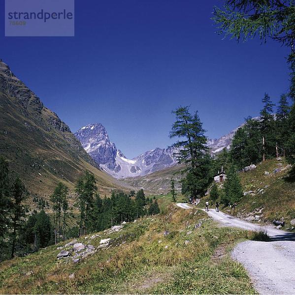 10639677  Remote  Graubünden  Graubünden  Val Tuoi  Mountainbiker  Piz Buin  Schweiz  Europa  Unterengadin  Weg  zwei