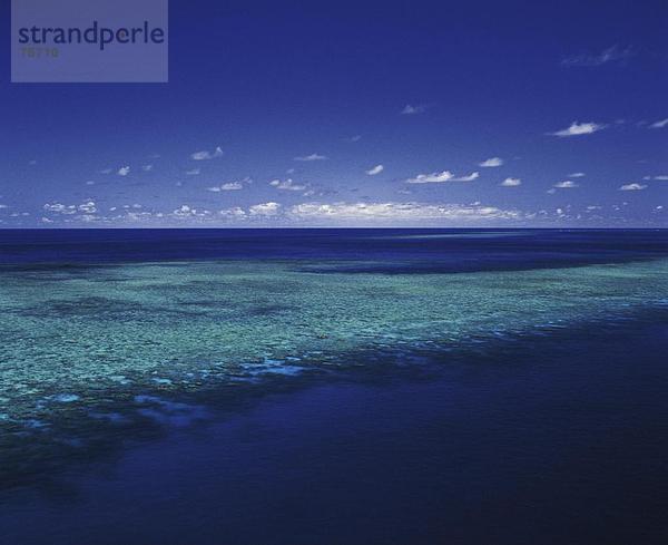 10641413  Australien  Great Barrier Reef  Cairns  gefährdet  Korallen  korallenes Riff  Landschaft  Meer  Natur  Pacific  Queensland  ree