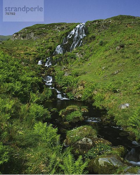 10641495  Creek  Bach  Farn  Gras  Großbritannien  Neigung  Neigung  Highland  Hill  Isle of Skye  Landschaft  Natur  Portree