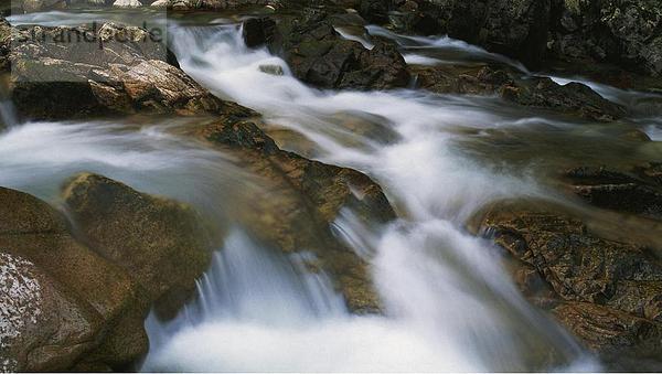 10641500  Creek  Bach  Detail  Dynamik  Stein  Klippe  fließend  River  Fluss  Wasser  Glen Nevis  Natur  Panorama  Sco