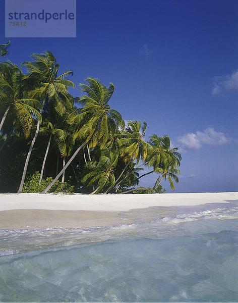 10641515  Urlaub  Island  Insel  Küste  Malediven  Indischer Ozean  Meer  Palmen  Palm Beach  Paradies  Strand  Meer  Tropisch