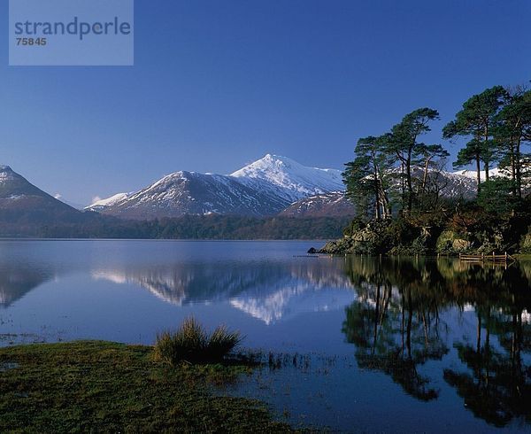 10641548  Bäumen  Berge  Cumbria  Derwent Water  Derwentwater  England  Großbritannien  Europa  Stein  Klippe  Friar's Crag  b