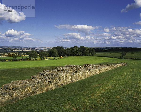 10641570  England  Großbritannien  Europa  Hadrians Damm  historischen  Kultur  Landschaft  Wand  Northumberland  Roman  bul