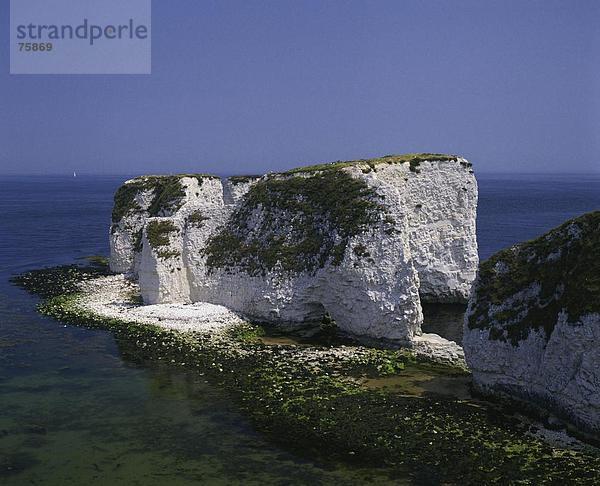 10641572  Dorset  England  Großbritannien  Europa  Erosion  Felsen  Felsen  Geologie  Großbritannien  Handfast Point  Klippen  Kreide