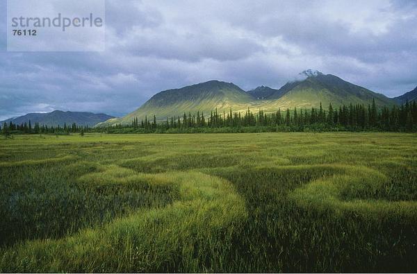 10643092  Alaska  Bergen  Bergen  George Parks Highway  Gras  grauen  Himmel  grün  Horizontal  Hill  Hügel Landschaft  scener