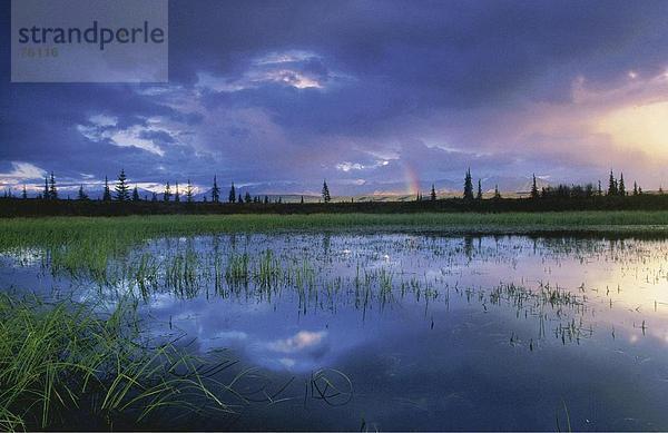 10643096  Abend  Alaska  Alaska  Rang  Wonder Lake  Berge  blau  Himmel  Denali National  Park  Gras  Horizontal  sce