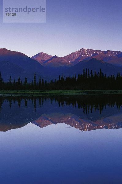 10643109  am Abend Abendlicht  Alaska  Alpenglühen  Bäumen  Berge  blau  Himmel  Gebirge  hoch  Cheers  Hochformat  sc