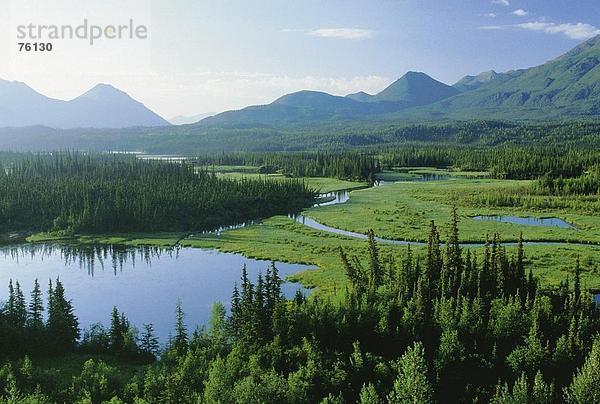 Vereinigte Staaten von Amerika USA Landschaftlich schön landschaftlich reizvoll Berg Amerika Wald See Meer fließen Fluss Holz Nordamerika Alaska Morgenstimmung