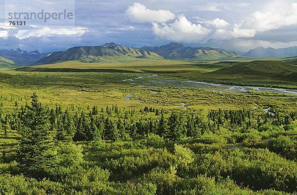 10643111  Alaska  Alaska  Rang  Berge  Denali National  Park  Fluss  Fluss  Berge  grün  Horizontal  Landschaft  North Al
