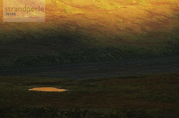10643113  am Abend Abendlicht  Alaska  Berge  Denali National Park  Berge  Horizontal  Berg  Hügel Landschaft  spärlich