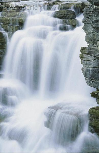 10643123  Alberta  Athabasca Wasserfälle  Athabasca  Wasserfall  Kanada  Nordamerika  Erosion  Klippe  Klippe und Wasser  Fluss  Fluß