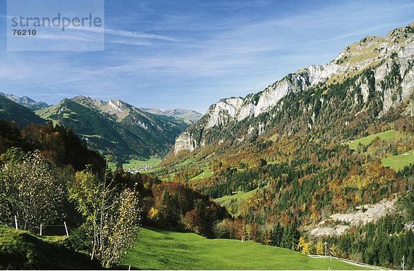 10643195  Herbst  Hochweidgutsch  Muothatal  Ochsenplatzli  Pragelpass  schwarzer Boden  Schweiz  Europa  Schwyz