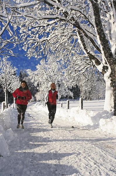 10644472  Bäume  Fitness  Freizeit  jogging  jogging  jogging  Sport  Betrieb  ausführen  zu Fuß  Schnee  Sport  Weg  Winter  Winter-s