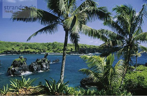 10646517  Bucht  Hawaii  Küste  Lava Stein  Maui  Meer  Park  USA  Amerika  Nordamerika  Waianapanapa Staat