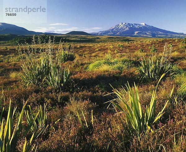 10646564  Landschaft  Mount Ruapehu  Neuseeland  Nord-Island  Tongariro  Nationalpark  Vulkan