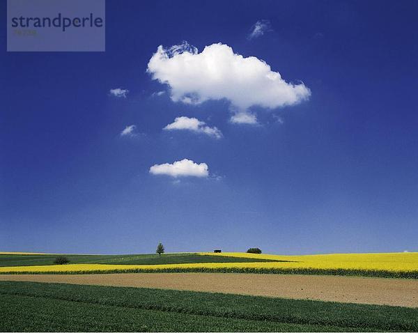 Landschaftlich schön landschaftlich reizvoll Europa Wolke Himmel Feld Hessen Deutschland Wetter