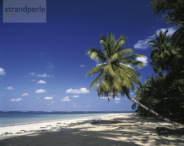 10647389  Dominikanische Republik  Karibik  Lesung Terrenas  Meer  Palmen  Palm Beach  Samana  Strand  Meer