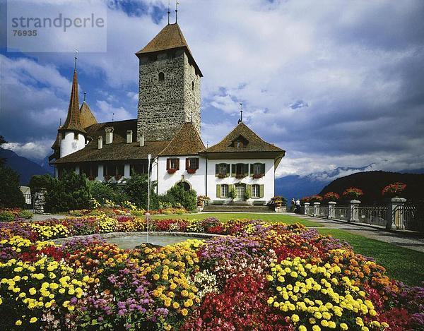 Berg Blume Palast Schloß Schlösser Architektur Geschichte Garten Alpen Berner Oberland Kanton Bern