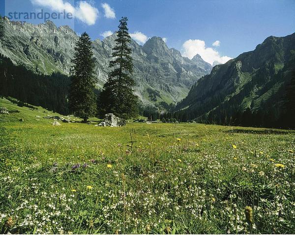 Les Diablerets  Natur  Schweiz  Europa  Solalex  Tal  Waadt Länder  Alpen  10647797  Alp  Berge  Gebirge  Moun
