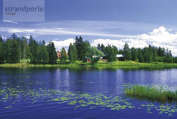 Wasserrand Landschaftlich schön landschaftlich reizvoll Hütte Wohnhaus Gebäude Wald See Meer Natur Holz Finnland