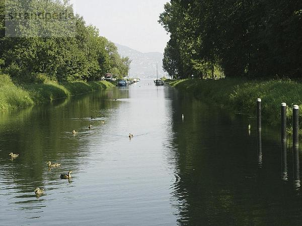10648231  Landung  Stufen  Boote  River  Fluss  Genfersee  Canal Grande  Kanal  Kanal  Mund  Natur  Noville  Rhône-Tal