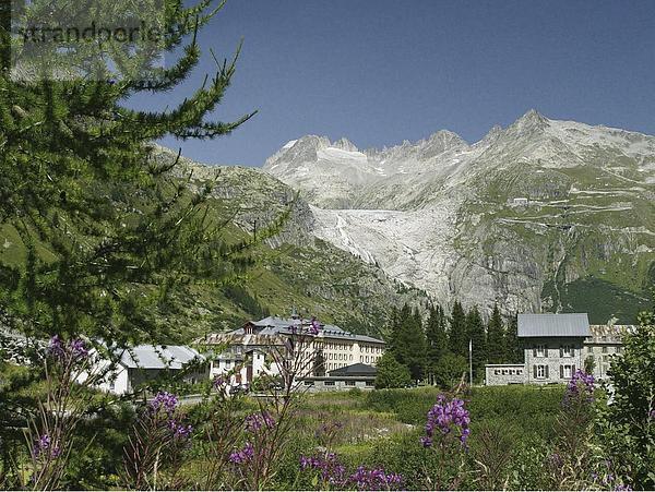 10648238  alpine  Alpen  Berge  Blumen  Blume  Wiese  Furka  Galenstock  Gletsch  Gletscher  Goms  Hotel  Landschaft  Lärche  O