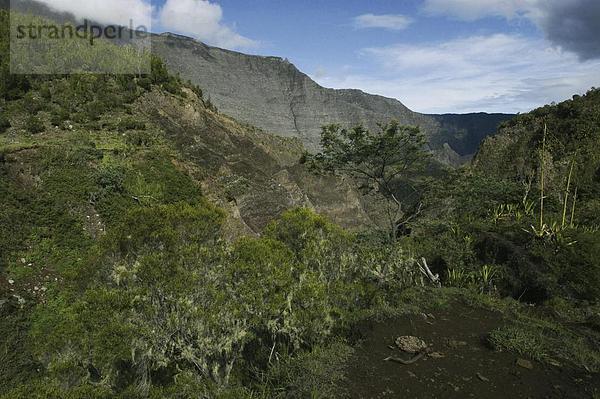 10649465  Berge  Cirque de Mafate  Stein  Klippe  Ile De La Réunion  Indischer Ozean  Landschaft  Wald  Wälder