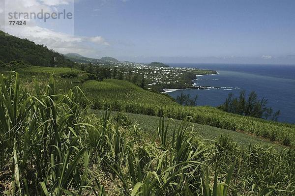 10649488  Ile De La Réunion  Indischer Ozean  Küste  Landschaft  Landwirtschaft  Meer  Plantage  Südküste  Zuckerrohr