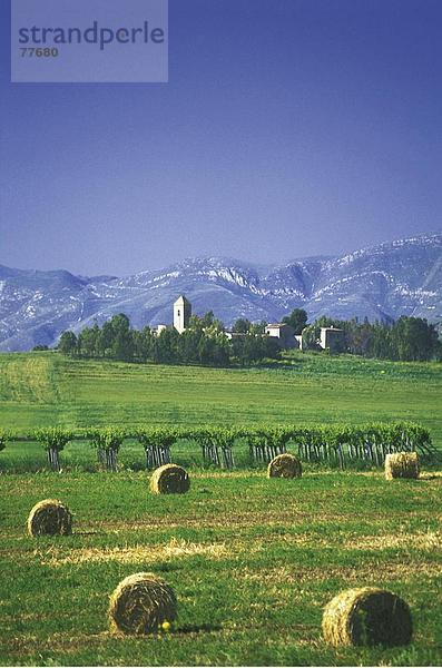 10649791  Berge  Felder  Heu Ballen  Italien  Europa  Landschaft  Landwirtschaft  Siedlung  Sizilien  Wein  Rebberg