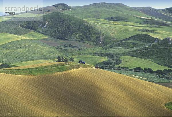 10649805  Feld  Felder  Hügel  Italien  Europa  Landschaft  Landwirtschaft  Sizilien  Traktor  Wein  Rebberg