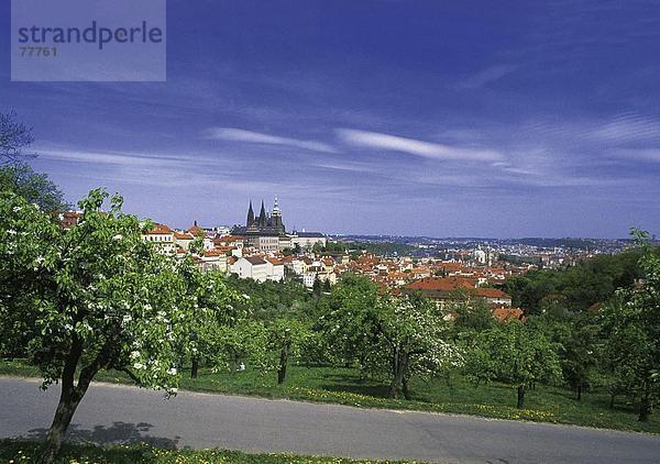 10649874  Bäume  Blumen blühen  Blumen  Rest  Frühling  Natur  Park  Prag  Stadt  Stadt  Tschechien  Europa  Überblick