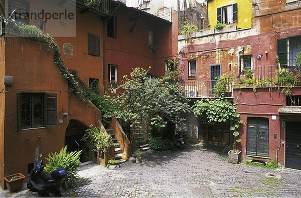 Rom Hauptstadt Europa Blume Wohnhaus Gebäude Pflanze Fassade Hausfassade Idylle Italien wohngebäude