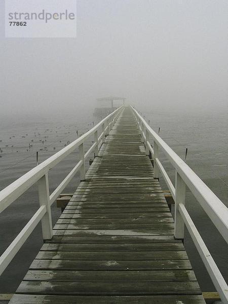 Kälte Europa Küste Meer Nebel Kai Niederschlag Ostsee Baltisches Meer Deutschland