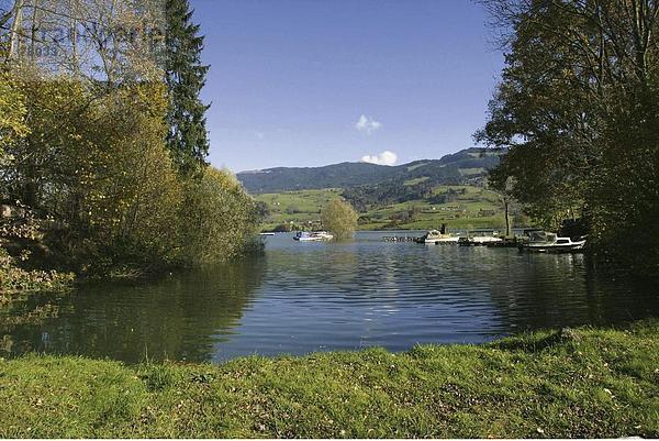 Landschaftlich schön landschaftlich reizvoll Europa See Boot Meer Herbst Schweiz