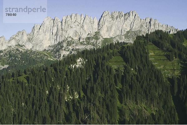 Gebirge Felsbrocken Europa Berg Steilküste Wald Holz Alpen Gebirgszug Schweiz