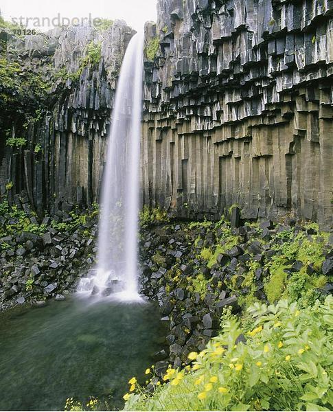 10651078  Basalt  Stein  Klippe  Geologie  Island  Landschaft  Natur  Pflanzen  Spalten  Skaftafell Wasserfall  volcanical  Vulkanismus