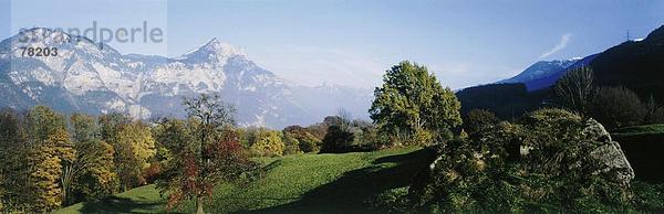 Panorama Landschaftlich schön landschaftlich reizvoll Europa Berg Herbst Schweiz