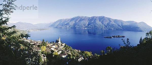 Panorama Landschaftlich schön landschaftlich reizvoll Berg See Meer Dorf Insel Lago Maggiore Kanton Tessin
