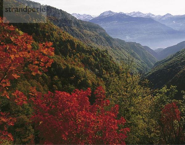 Landschaftlich schön landschaftlich reizvoll Europa Berg Natur Alpen Herbst Schweiz Kanton Wallis