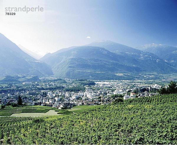 Landschaftlich schön landschaftlich reizvoll Europa Berg Wein Stadt Großstadt Alpen Schweiz Kanton Wallis