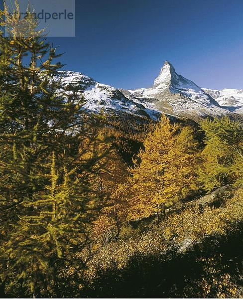 Landschaftlich schön landschaftlich reizvoll Europa Berg Matterhorn Alpen Herbst Sehenswürdigkeit Schweiz Kanton Wallis