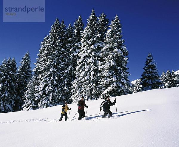 10651653  alpine  Alpen  Berge  drei  Graubünden  Graubünden  Gruppe  Lenzerheide  Schnee  Schneeschuh  Schneeschuh laufen  Switze