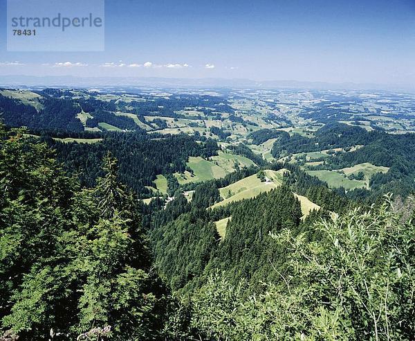 Landschaftlich schön landschaftlich reizvoll Europa Hügel Wald Holz Kanton Luzern Schweiz