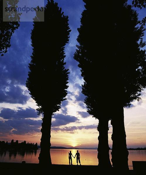 10652064  Bäume  Lake Constance  See  Meer  Liebe  Paar  alle Paare  romantisch  See  Meer  See  Silhouetten  Sonnenuntergang  stehen