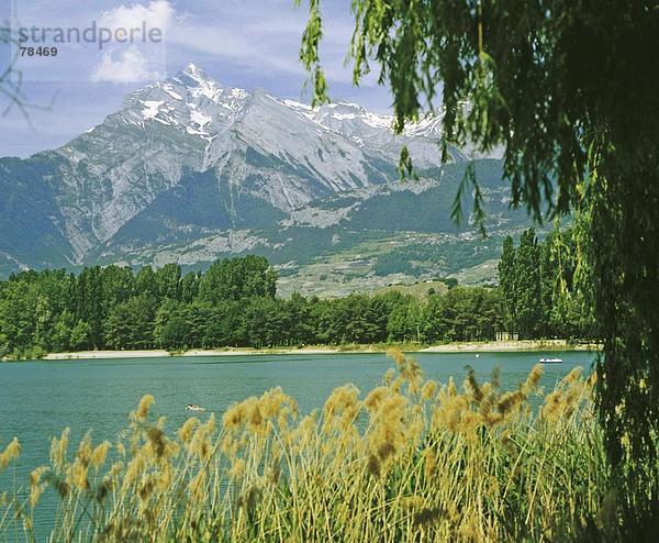 Landschaftlich schön landschaftlich reizvoll Europa Berg Alpen Schilf Schweiz Kanton Wallis