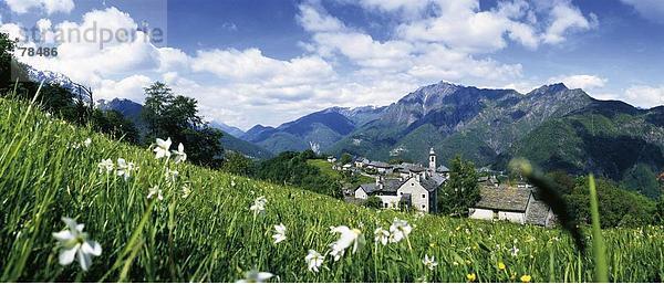 Blumenwiese Panorama Landschaftlich schön landschaftlich reizvoll Berg Alpen Kanton Tessin