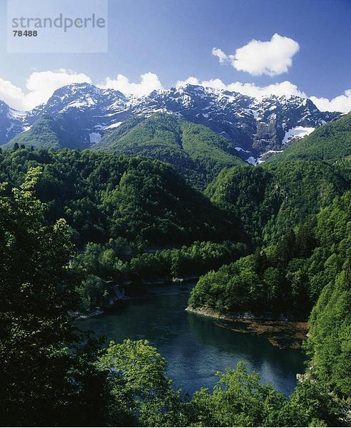 Landschaftlich schön landschaftlich reizvoll Europa Berg Wald See Meer Holz Alpen Stausee Schweiz Kanton Tessin