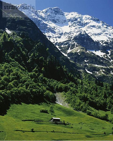 Landschaftlich schön landschaftlich reizvoll Europa Berg Alpen Kanton Glarus Schweiz