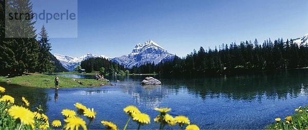 Landschaftlich schön landschaftlich reizvoll Berg Blume baden Alpen Kanton Uri Bergsee